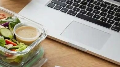 بهترین ظرف ناهار