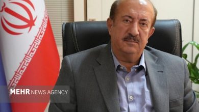 شارژ ۴۰ همتی حساب قطعه‌سازان کشور - خبرگزاری مهر | اخبار ایران و جهان